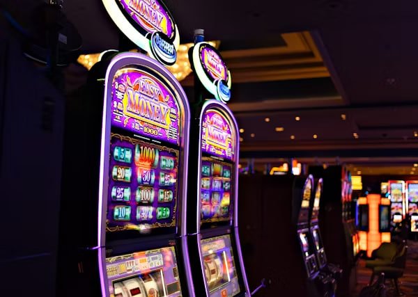 bet win